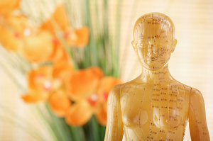 Contact & Prices. acupuncture witney oxfordshire figure & flowers